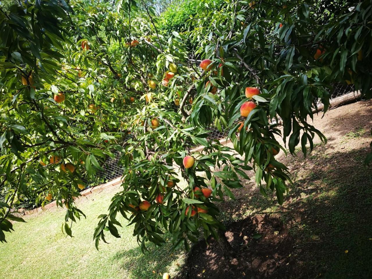 El Mana Villa Bialet Masse Luaran gambar
