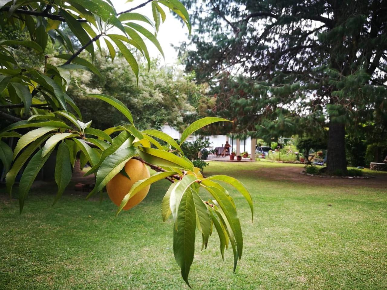 El Mana Villa Bialet Masse Luaran gambar